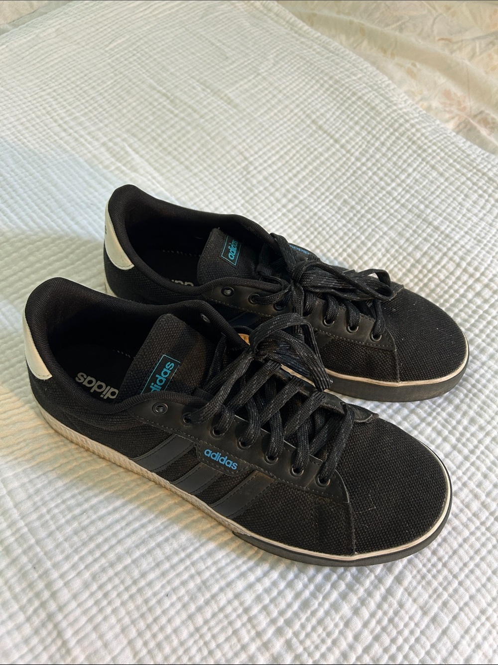 adidas Black Low-Top Canvas Sneakers with Blue Accents